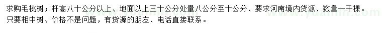 求購(gòu)30公分量8-10公分毛桃樹(shù)