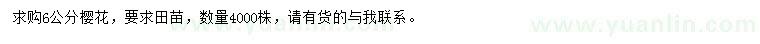求購6公分櫻花