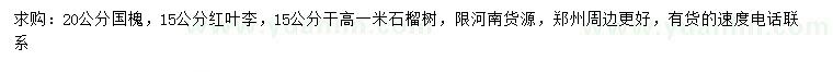求購國槐、紅葉李、石榴樹