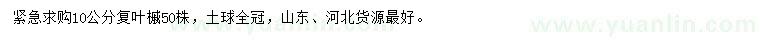 求購10公分復(fù)葉槭