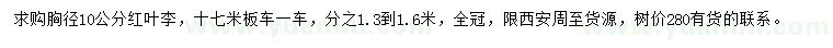 求購胸徑10公分紅葉李