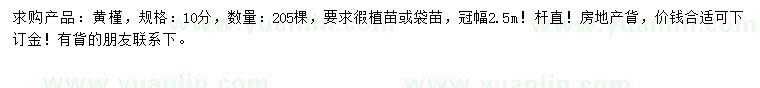 求購10公分黃槿
