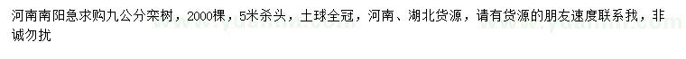 求購9公分欒樹