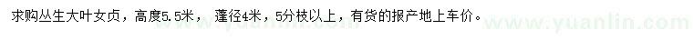 求購(gòu)高5.5米大葉女貞
