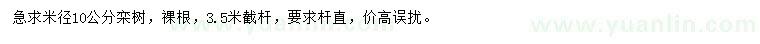 求購(gòu)米徑10公分欒樹(shù)