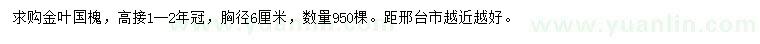 求購(gòu)胸徑6公分金葉國(guó)槐