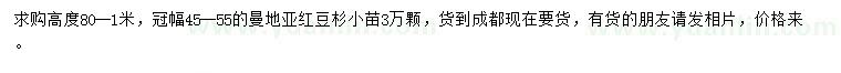 求購高0.8-1米曼地亞紅豆杉