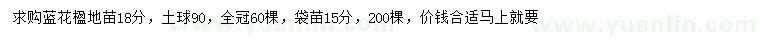 求購(gòu)18公分藍(lán)花楹