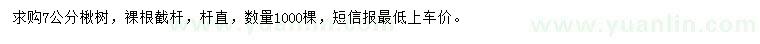 求購7公分楸樹