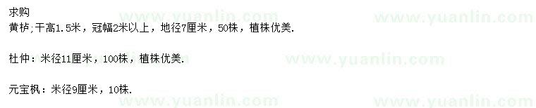 求購黃櫨、杜仲、元寶楓