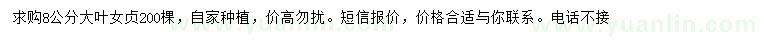 求購8公分大葉女貞
