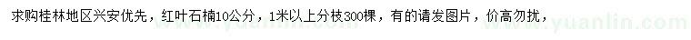 求購(gòu)10公分紅葉石楠