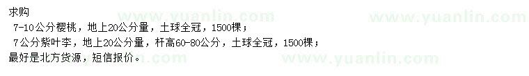 求購(gòu)7-10公分櫻桃、7公分紫葉李