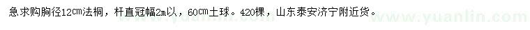 求購胸徑12公分法桐