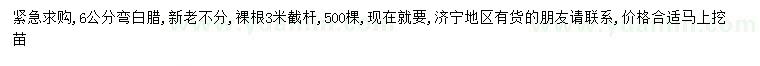 求購6公分白臘
