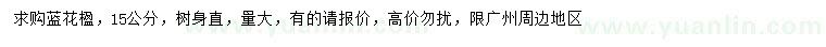 求購(gòu)15公分藍(lán)花楹