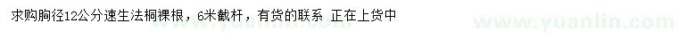 求購胸徑12公分速生法桐