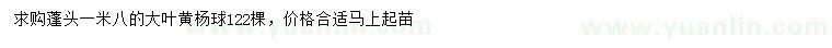 求購冠幅1.8米大葉黃楊球