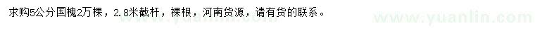 求購5公分國槐