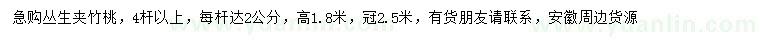 求購高1.8米叢生夾竹桃