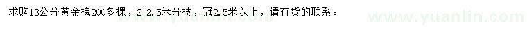 求購13公分黃金槐