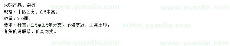 求購14公分欒樹