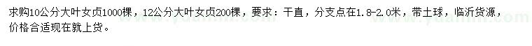 求購10、12公分大葉女貞