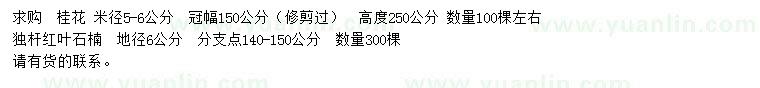 求購米徑5-6公分桂花、地徑6公分紅葉石楠