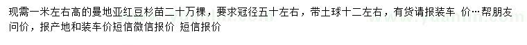 求購高1米曼地亞紅豆杉