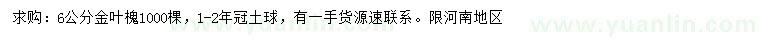 求購(gòu)6公分金葉槐