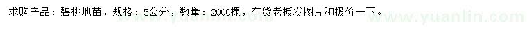 求購5公分碧桃