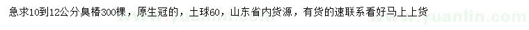 求購10-12公分臭椿