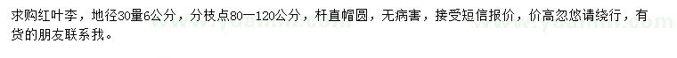 求購(gòu)地徑30量6公分紅葉李