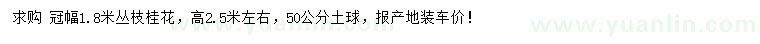 求購冠幅1.8米桂花