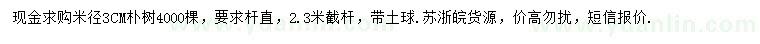 求購米徑3公分樸樹