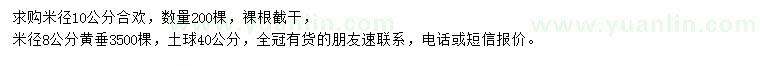 求購米徑10公分合歡、米徑8公分黃垂