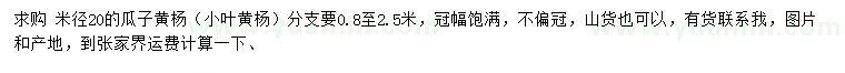 求購米徑20公分瓜子黃楊