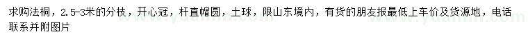 求購2.5-3米分枝法桐