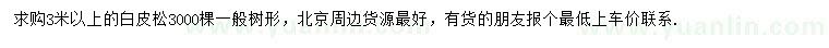 求購3米以上白皮松