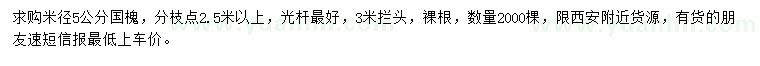 求購米徑5公分國槐