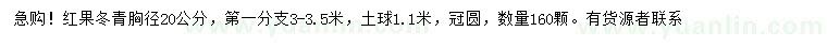 求購胸徑20公分紅果冬青