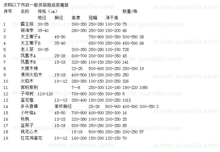 求購霸王棕、銀海棗、大王椰子等