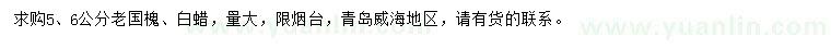 求購5、6公分老國槐、白蠟