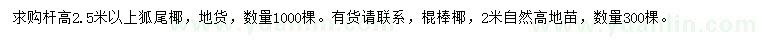 求購高2.5米以上狐尾椰、2米棍棒椰