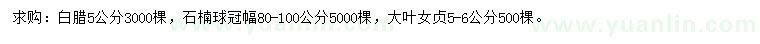 求購白臘、石楠球、大葉女貞