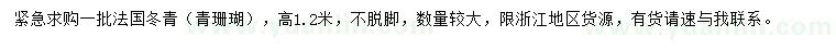 求購高1.2米法國冬青