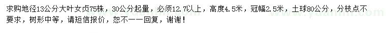 求購地徑13公分大葉女貞