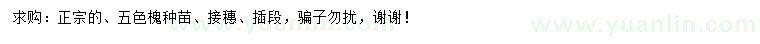 求購(gòu)五色槐種苗、接穗、插段