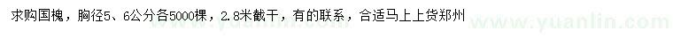 求購胸徑5、6公分國槐