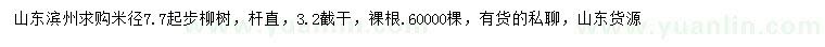 求購(gòu)米徑7.7公分以上柳樹